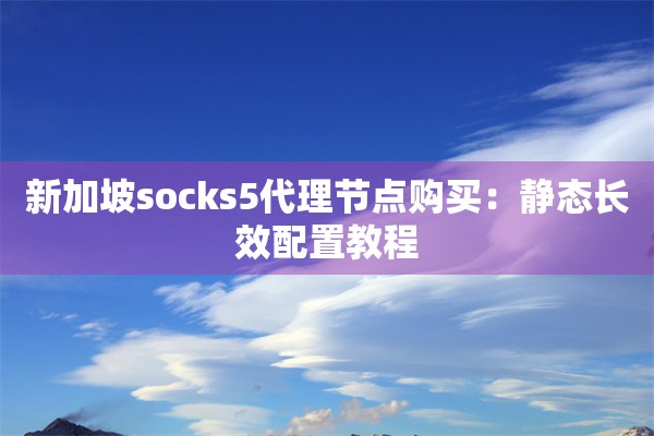 新加坡socks5代理节点购买：静态长效配置教程