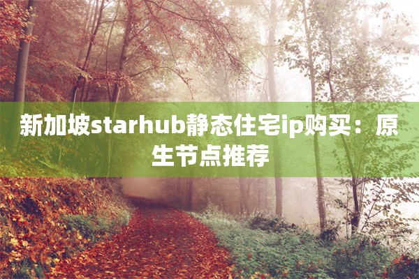 新加坡starhub静态住宅ip购买：原生节点推荐