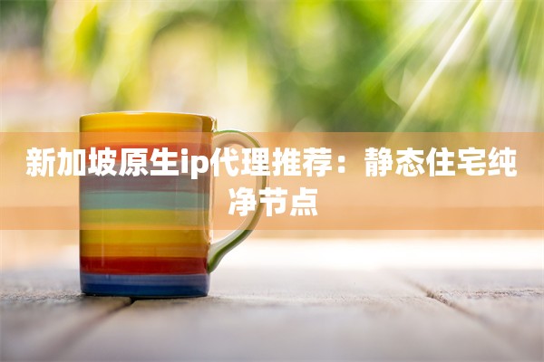新加坡原生ip代理推荐：静态住宅纯净节点