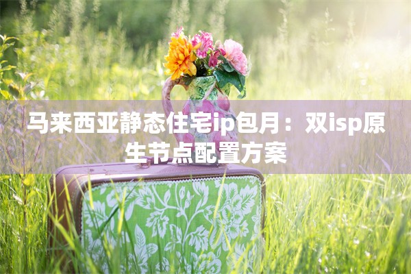 马来西亚静态住宅ip包月：双isp原生节点配置方案
