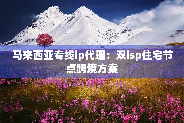 马来西亚专线ip代理：双isp住宅节点跨境方案