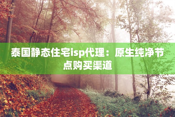 泰国静态住宅isp代理：原生纯净节点购买渠道