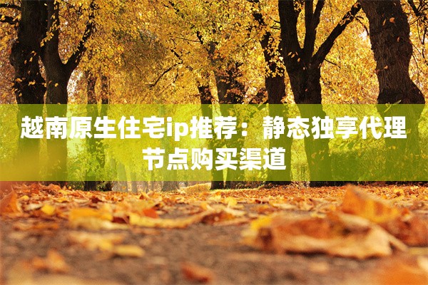 越南原生住宅ip推荐：静态独享代理节点购买渠道