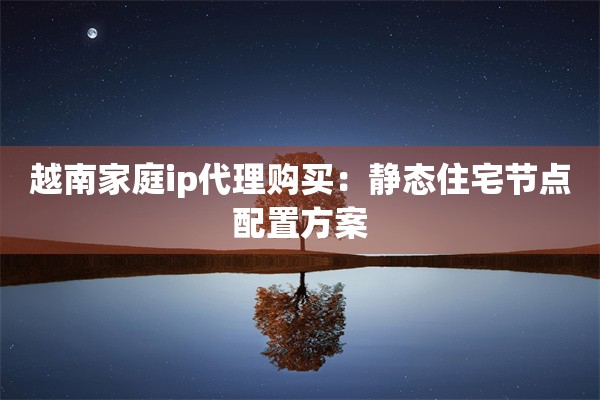 越南家庭ip代理购买：静态住宅节点配置方案