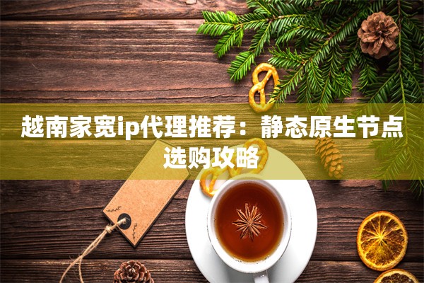 越南家宽ip代理推荐：静态原生节点选购攻略
