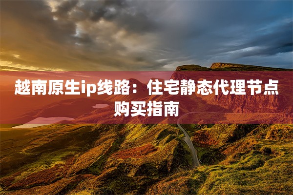 越南原生ip线路：住宅静态代理节点购买指南