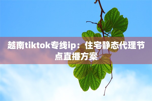 越南tiktok专线ip：住宅静态代理节点直播方案