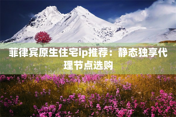 菲律宾原生住宅ip推荐：静态独享代理节点选购