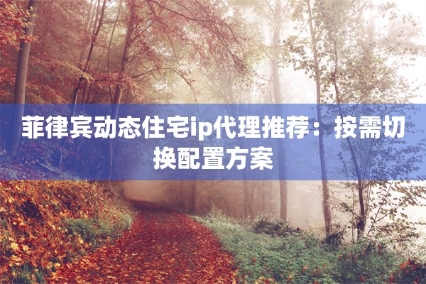 菲律宾动态住宅ip代理推荐：按需切换配置方案