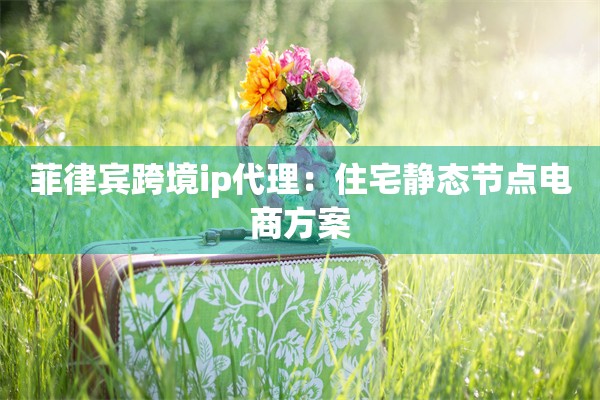 菲律宾跨境ip代理：住宅静态节点电商方案