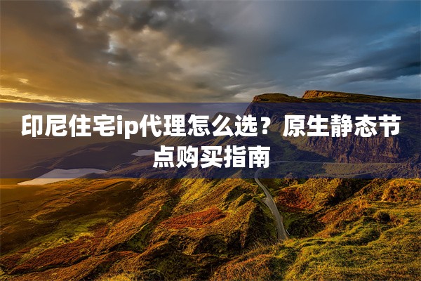 印尼住宅ip代理怎么选？原生静态节点购买指南