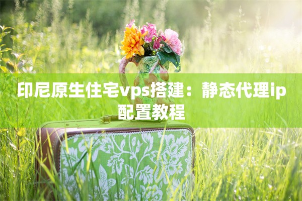 印尼原生住宅vps搭建：静态代理ip配置教程