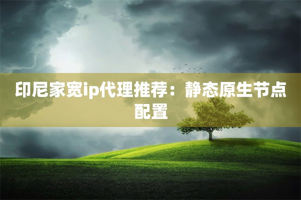 印尼家宽ip代理推荐：静态原生节点配置