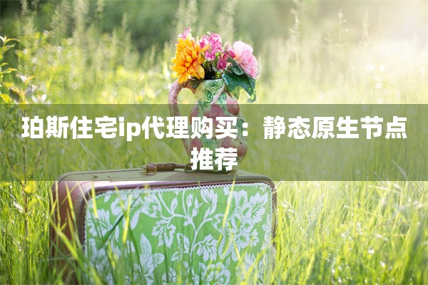 珀斯住宅ip代理购买：静态原生节点推荐