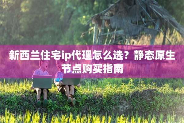 新西兰住宅ip代理怎么选？静态原生节点购买指南