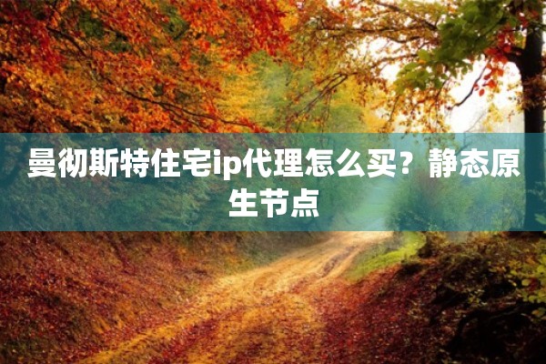 曼彻斯特住宅ip代理怎么买？静态原生节点