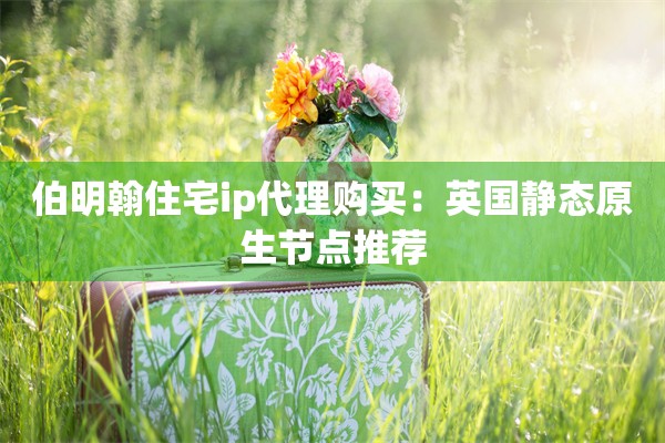 伯明翰住宅ip代理购买：英国静态原生节点推荐