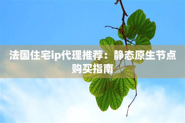 法国住宅ip代理推荐：静态原生节点购买指南