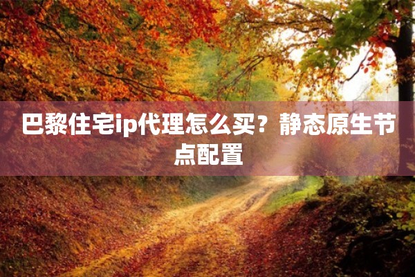 巴黎住宅ip代理怎么买？静态原生节点配置