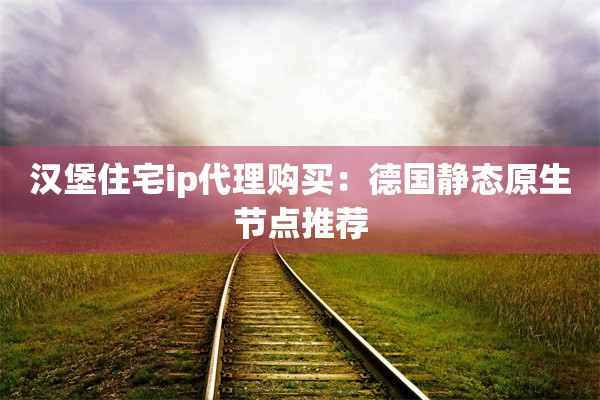 汉堡住宅ip代理购买：德国静态原生节点推荐