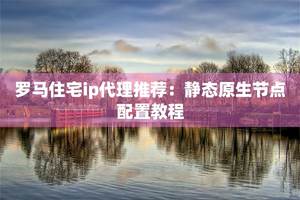 罗马住宅ip代理推荐：静态原生节点配置教程