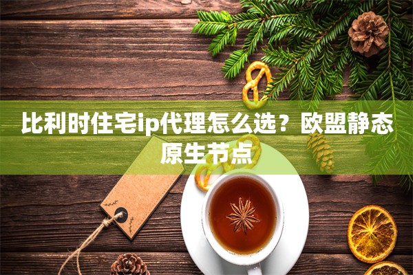 比利时住宅ip代理怎么选？欧盟静态原生节点