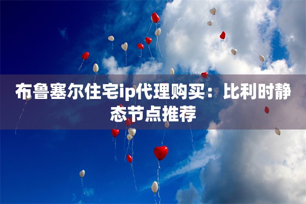 布鲁塞尔住宅ip代理购买：比利时静态节点推荐
