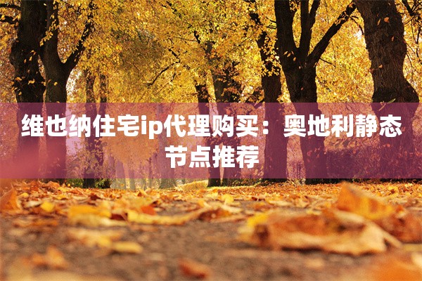 维也纳住宅ip代理购买:奥地利静态节点推荐