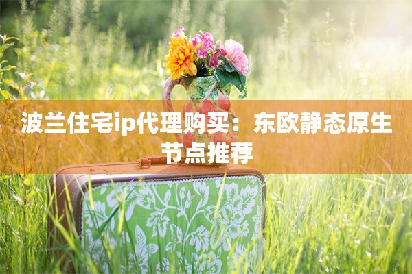 波兰住宅ip代理购买：东欧静态原生节点推荐
