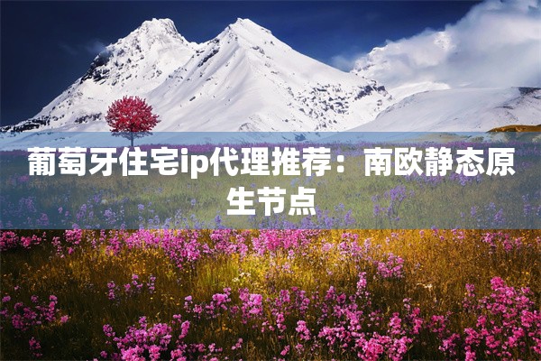 葡萄牙住宅ip代理推荐：南欧静态原生节点