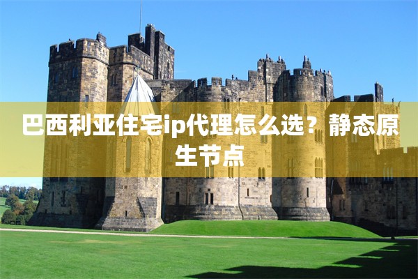 巴西利亚住宅ip代理怎么选?静态原生节点