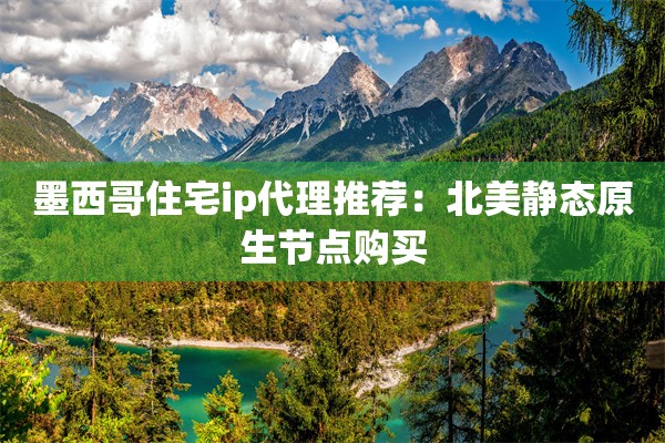 墨西哥住宅ip代理推荐：北美静态原生节点购买