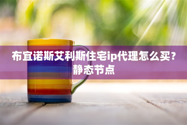 布宜诺斯艾利斯住宅ip代理怎么买?静态节点