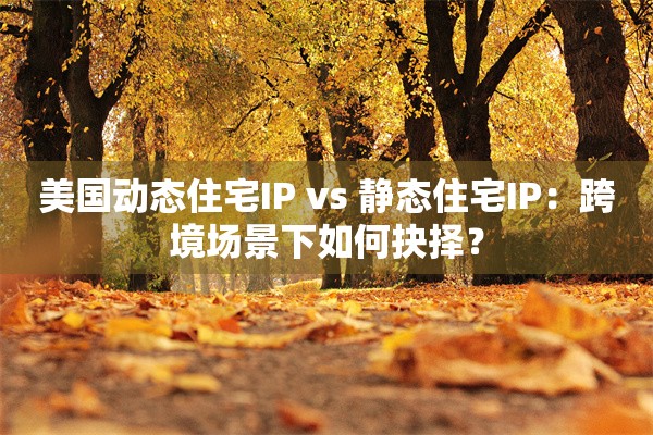 美国动态住宅IP vs 静态住宅IP:跨境场景下如何抉择?
