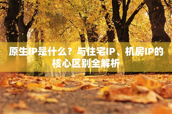 原生IP是什么?与住宅IP、机房IP的核心区别全解析