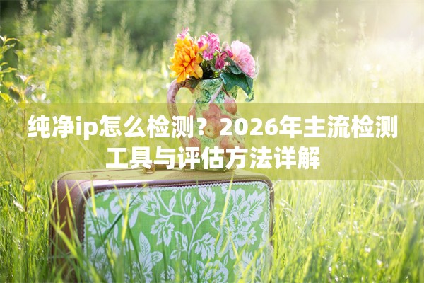纯净ip怎么检测?2026年主流检测工具与评估方法详解