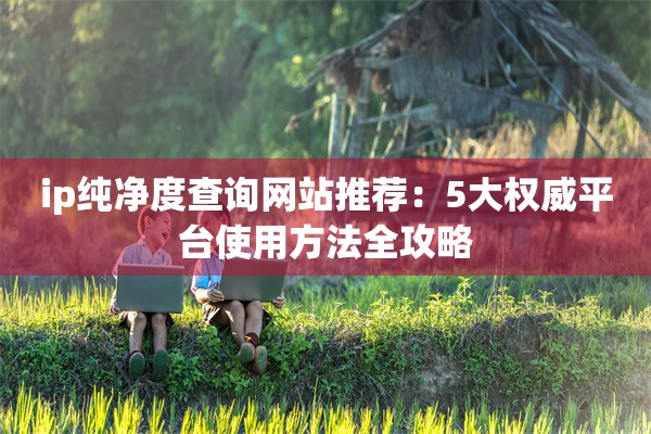 ip纯净度查询网站推荐:5大权威平台使用方法全攻略