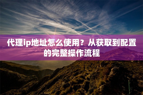 代理ip地址怎么使用?从获取到配置的完整操作流程