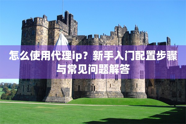怎么使用代理ip?新手入门配置步骤与常见问题解答
