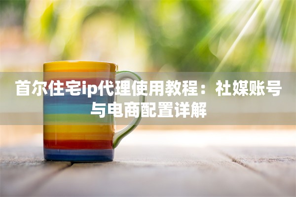 首尔住宅ip代理使用教程：社媒账号与电商配置详解