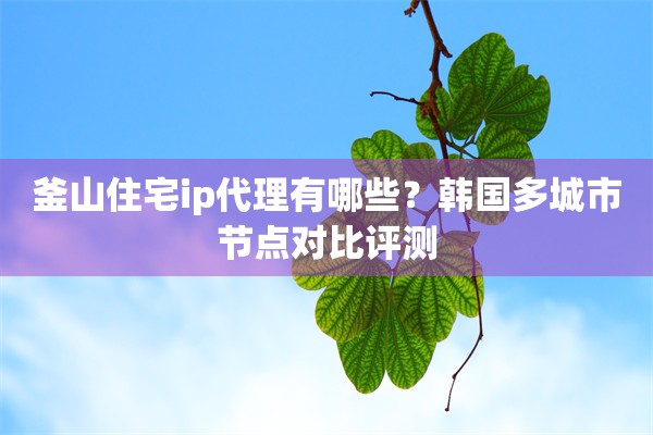 釜山住宅ip代理有哪些？韩国多城市节点对比评测