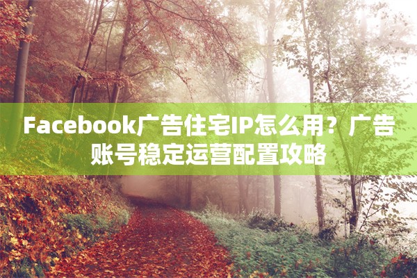 Facebook广告住宅IP怎么用?广告账号稳定运营配置攻略