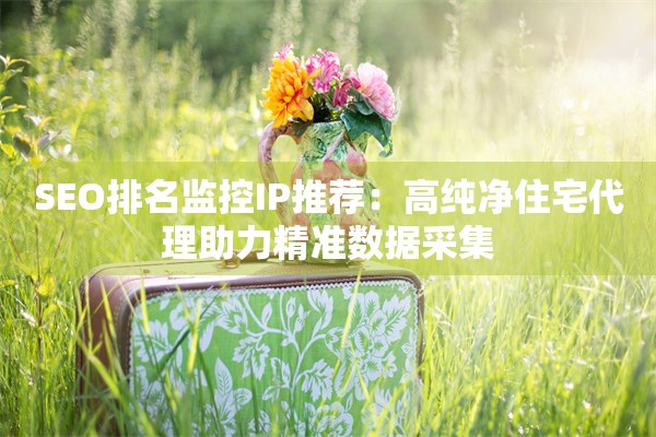 SEO排名监控IP推荐:高纯净住宅代理助力精准数据采集