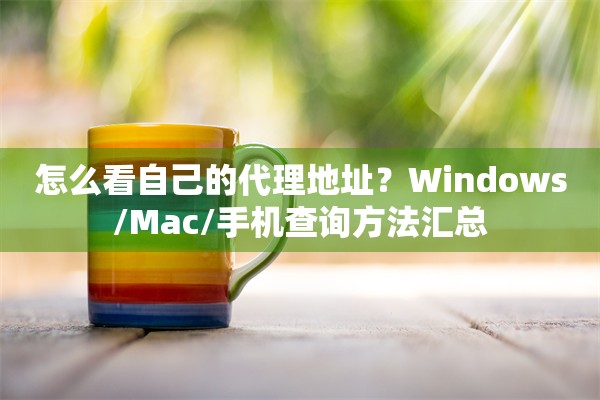 怎么看自己的代理地址？Windows/Mac/手机查询方法汇总