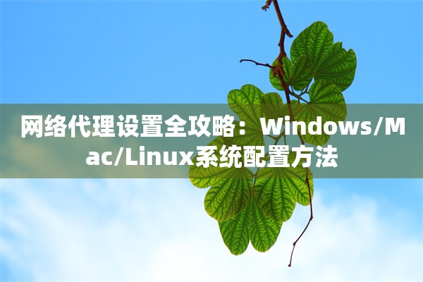 网络代理设置全攻略:Windows/Mac/Linux系统配置方法