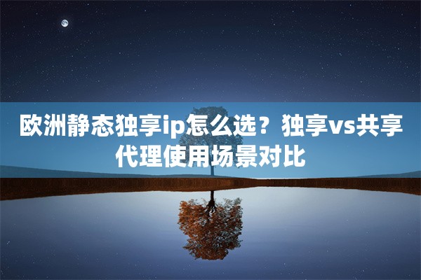 欧洲静态独享ip怎么选?独享vs共享代理使用场景对比