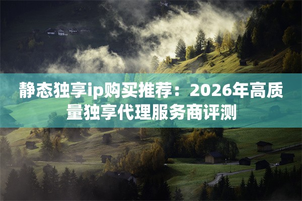 静态独享ip购买推荐:2026年高质量独享代理服务商评测