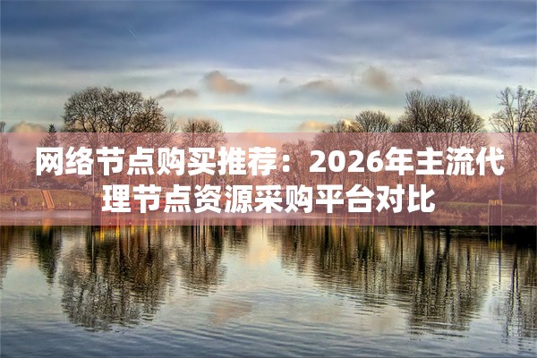 网络节点购买推荐:2026年主流代理节点资源采购平台对比
