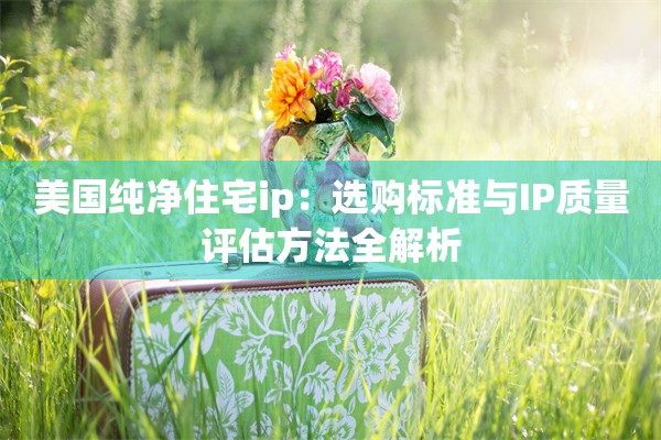 美国纯净住宅ip:选购标准与IP质量评估方法全解析