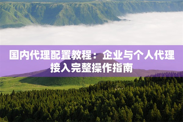 国内代理配置教程:企业与个人代理接入完整操作指南
